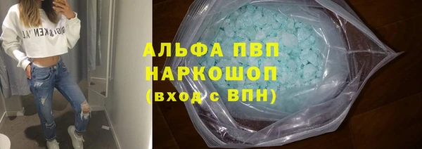 спиды Богданович